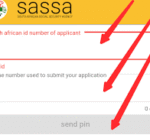 SRD SASSA Reconfirmation Process